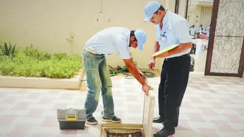 شركة تنظيف بيارات في الرياض